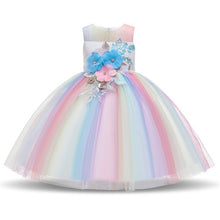 Load image into Gallery viewer, princess dress